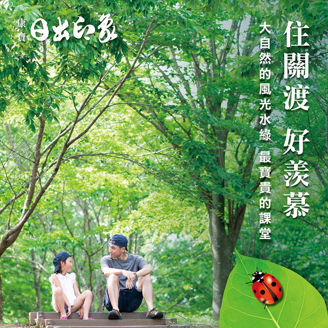 關渡日出印象